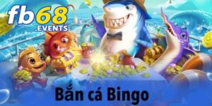 Định nghĩa về bắn cá Bingo
