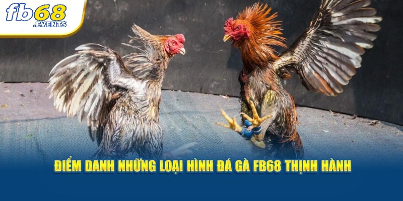 Đá Gà FB68 3 Điểm danh những loại hình đá gà FB68 thịnh hành