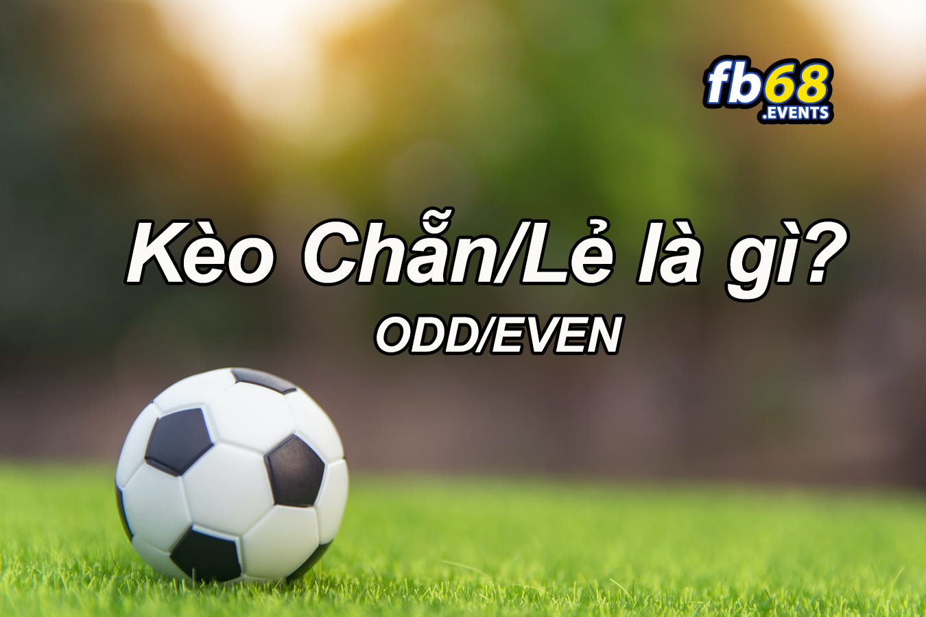Kèo Chẵn Lẻ FB68 – Giới thiệu về những kèo chắn lẻ phổ biến tại fb68 2 Tổng quan về kèo chẵn lẻ là gì?