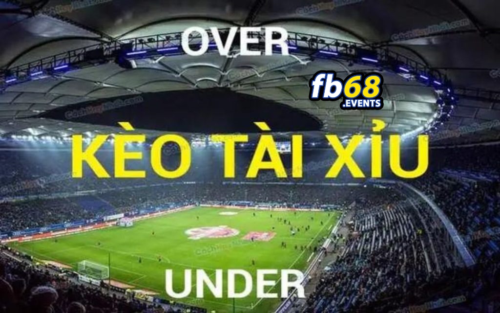 Tài Xỉu 2 Trái Rưỡi Kèo Bóng Dễ Chơi Dễ Trúng 2 Tài Xỉu 2 Trái Rưỡi fb68